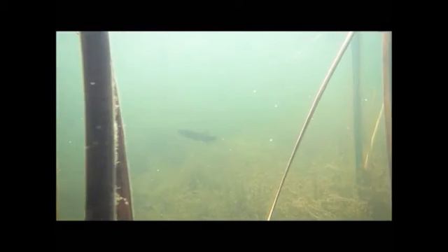 лето под водой часть 1 смотреть онлайн