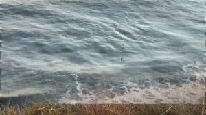 Разлука смотрит на меня твоими карими глазами…