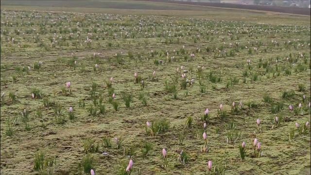 П'ятий день.Політ нормальний.14.10.2023рік. смотреть онлайн