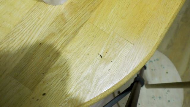 кормление скорпионов и паука смотреть онлайн