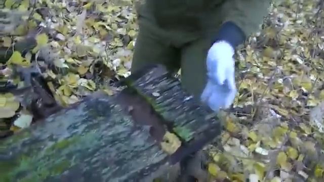 Тайна проклятой ямы. Часть 3. В поисках золота! смотреть онлайн