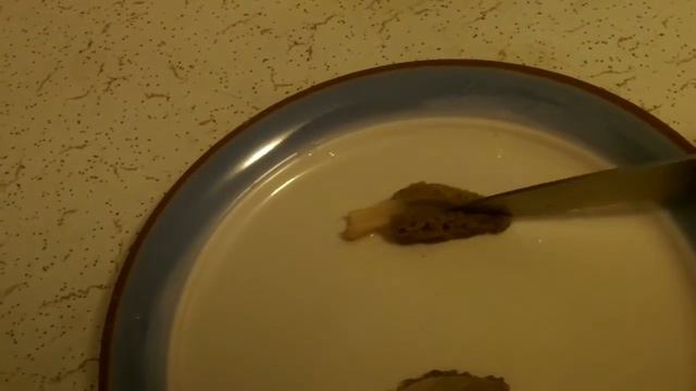 Morel Mushroom Demo.mp4 смотреть онлайн