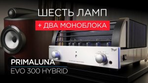 Новейший гибридный усилитель PrimaLuna EVO 300 Hybrid