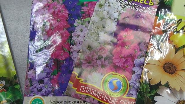 Когда сеять дихондру, дельфиниум? смотреть онлайн