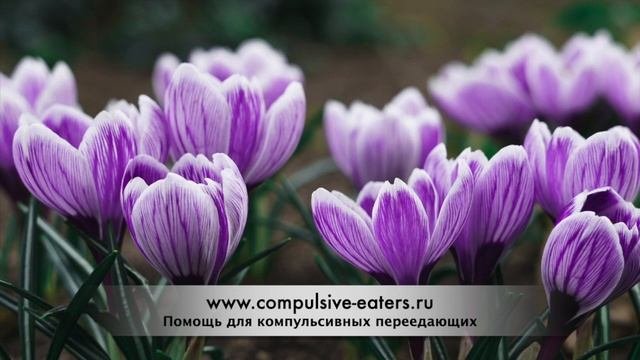 Коммульсивное переедание: Мария Ч., история выздоровления