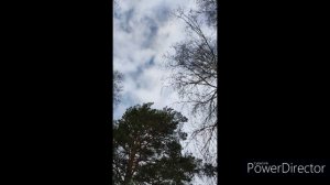 Шашлычок на дачке :)