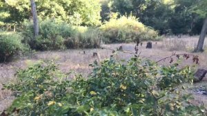 Хачмаз.Как мы проводим отпуск в Набране