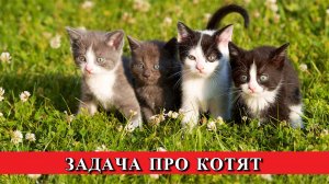 Мне навстречу бежали котята ? Задача про котят