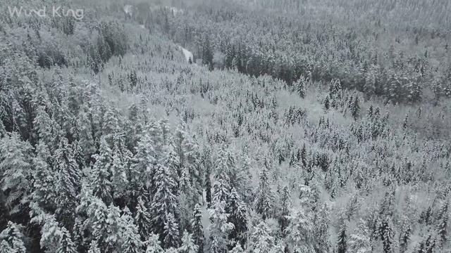 Республика Карелия | Ладожское озеро | Водопад | 4K | WIND KING смотреть онлайн