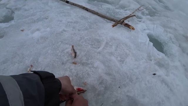 Сюрпризы Енисея! От восторга до удивления смотреть онлайн