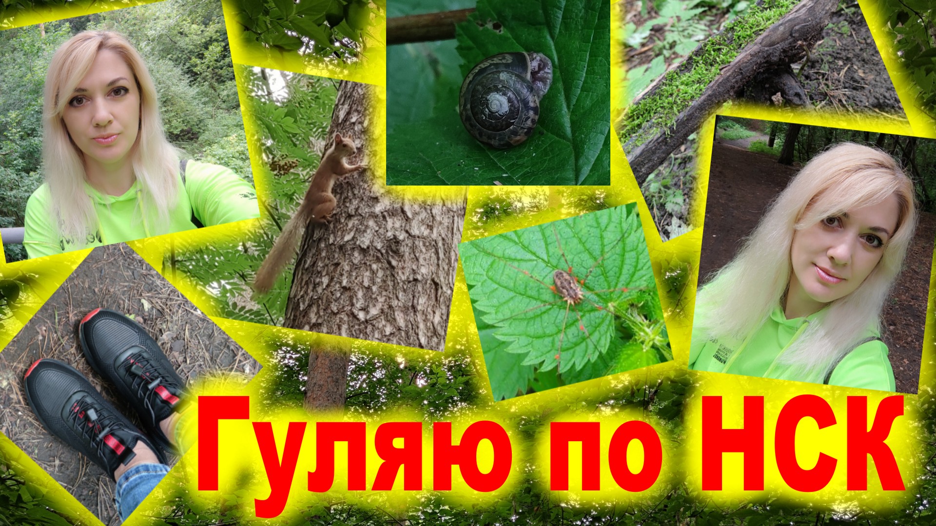 ?? Гуляю по Новосибирску. ?? Часть 5 ?? ЛЕС, БЕЛОЧКИ, УЛИТКИ
