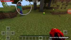 Я играю в Minecraft на телефоне по сети