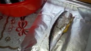 Самая вкусная скумбрия. Скумбрия на мангале в фольге. Любимый рецепт.