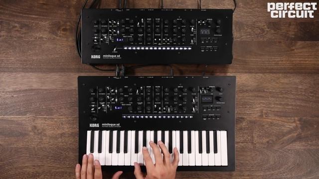 Korg Minilogue XD Module смотреть онлайн