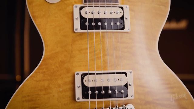 Slash | The Slash Collection