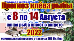 Прогноз клева рыбы на эту неделю с 8 по 14 Августа Календарь рыбака на неделю  2022.mp4