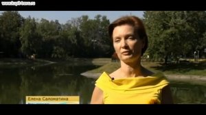 Растение подсолнух, польза семечек, лепестков, листьев, корня подсолнечника, лечебные свойства.