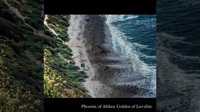 The Gladiolus to Nephrites смотреть онлайн