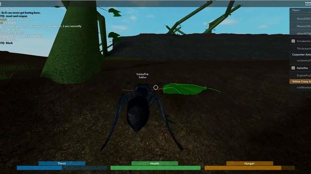 Roblox | Ant life| The start of a Colony.. смотреть онлайн