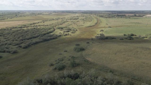 Карьер Бизино смотреть онлайн