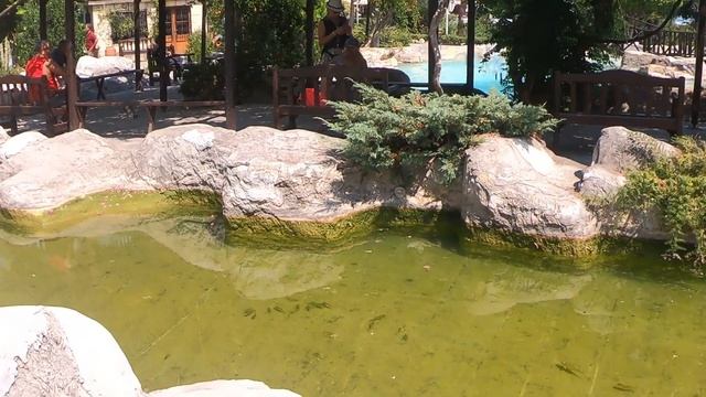 Путешествие к Средиземному морю/Турция,Алания/Подводный мир Средиземного побережья/First Class Hote