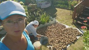 Видео привет с 6 соток 16 августа 2024 года