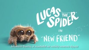 Паучок Лукас - Новый друг / Lucas the Spider - New Friend