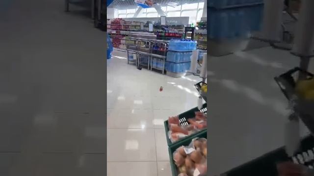 ЗЕМЛЕТРЯСЕНИЕ НА КАМЧАТКЕ 03.04.2023 5