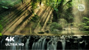 Звуки реки | Расслабляющие журчание воды