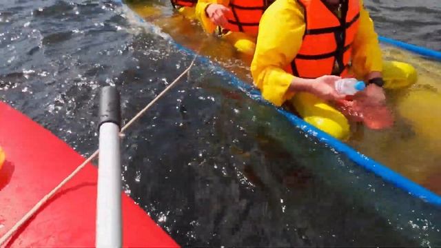 ДРАКОН ЗАТОНУЛ! Дракон спасает дракона. смотреть онлайн