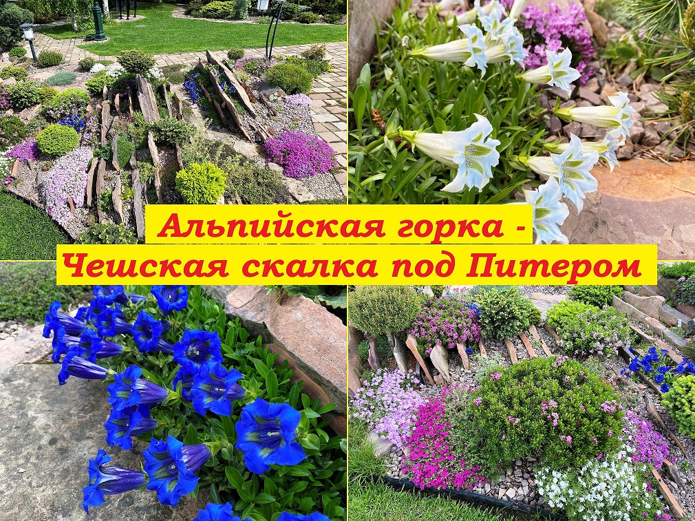 Альпийская горка-чешская скалка под Питером