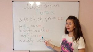 Множественное число s,ss,sh,ch,x,o - es