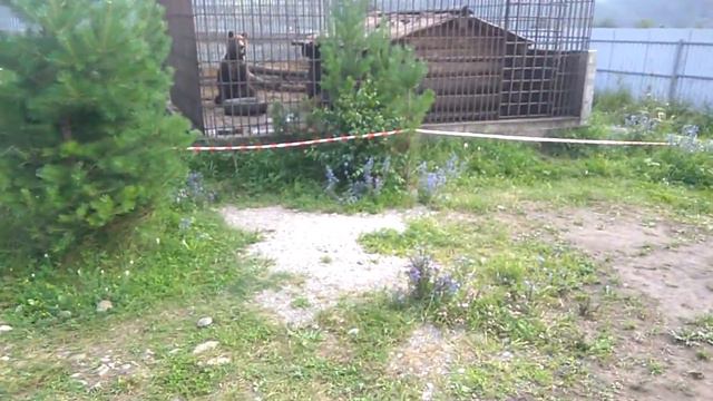 Мохнатая ферма смотреть онлайн