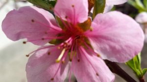 Христианские песни  Сила слова  Эдуард Ильницкий