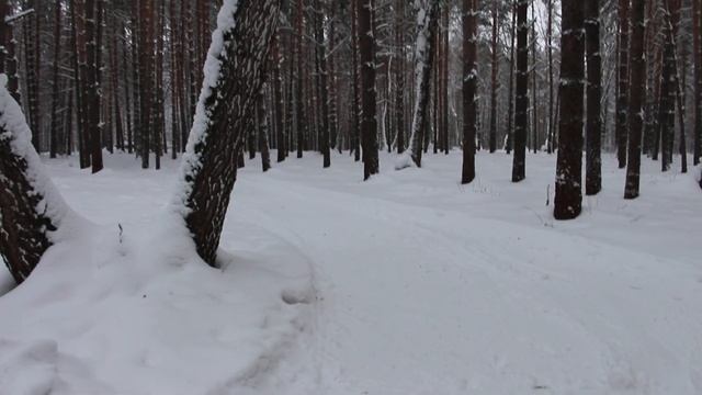 Хаски-Лэнд ? смотреть онлайн