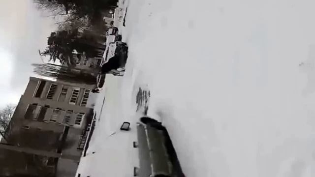 "Лось и выхлопные газы" или "Лось пытается погреться" - чужое обработанное видео от 30.11.2016 смотреть онлайн