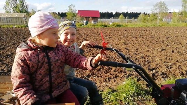 Постройка беседки