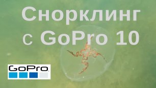 GoPro Hero 10 | Черное море - снорклинг 03/07/2022, смотреть в 4K - 04