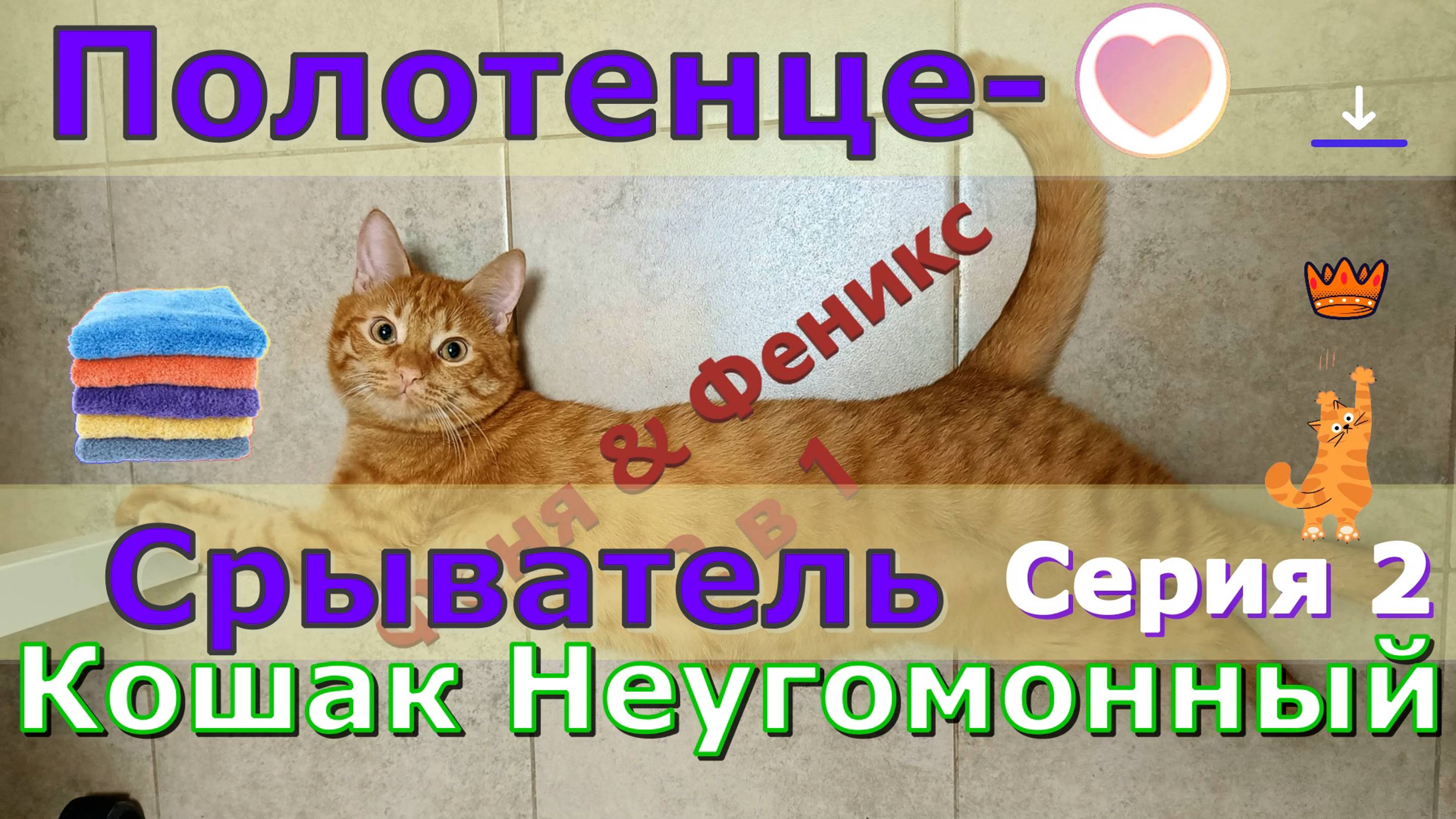 ПолотенцеСрыватель. Кошак Неугомонный. Серия 2 Кот Феня, он же Феникс