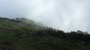 Альпийские луга в Красной Поляне #отдых #горы #краснаяполяна