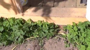 Замена стоек додж караван задних