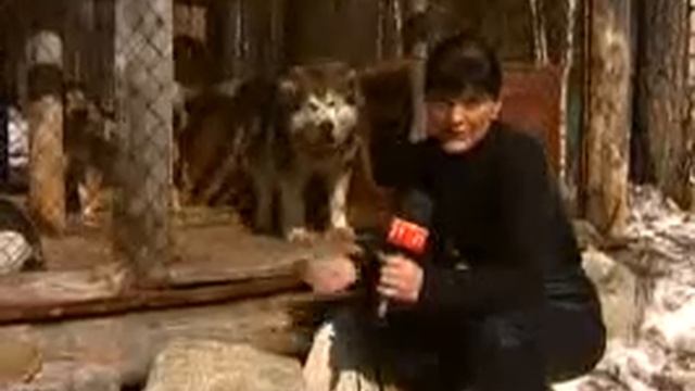 Утро на базе "Вува"