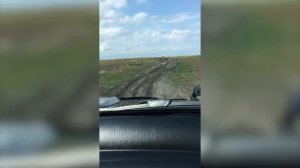 Рыбалка в Верх-Урюме и ПОСЛЕДСТВИЯ...