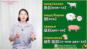 Названия домашних животных на корейском языке (с транскрипцией)