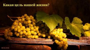 "Как приносить много плода". Н. С. Антонюк. МСЦ ЕХБ