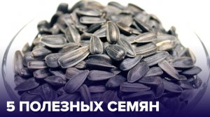 ТОП-5 СЕМЯН и семечек, которые должны быть в вашем рационе