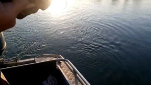 Осенняя рыбалка в Астрахани. с. Житное Сом. 28 октября 2019