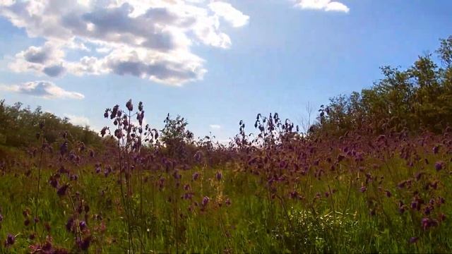 Весна Скоро лето смотреть онлайн