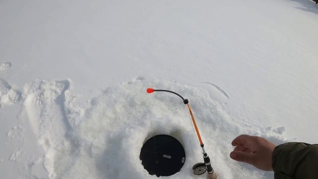 ОХОТА ЗА КУМЖЕЙ ПРОДОЛЖАЕТСЯ / THE HUNT FOR BROWN TROUT CONTINUES смотреть онлайн