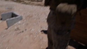 Шестизарядный гранатомет Milkor MGL